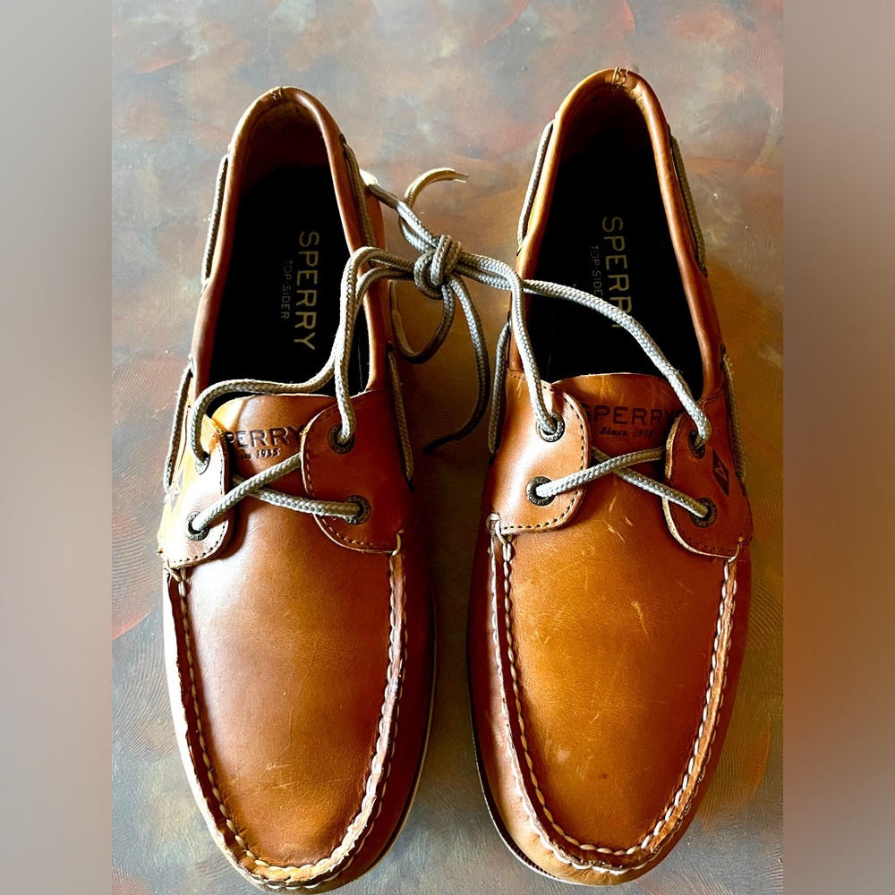 Mens Sperrys sport shoes